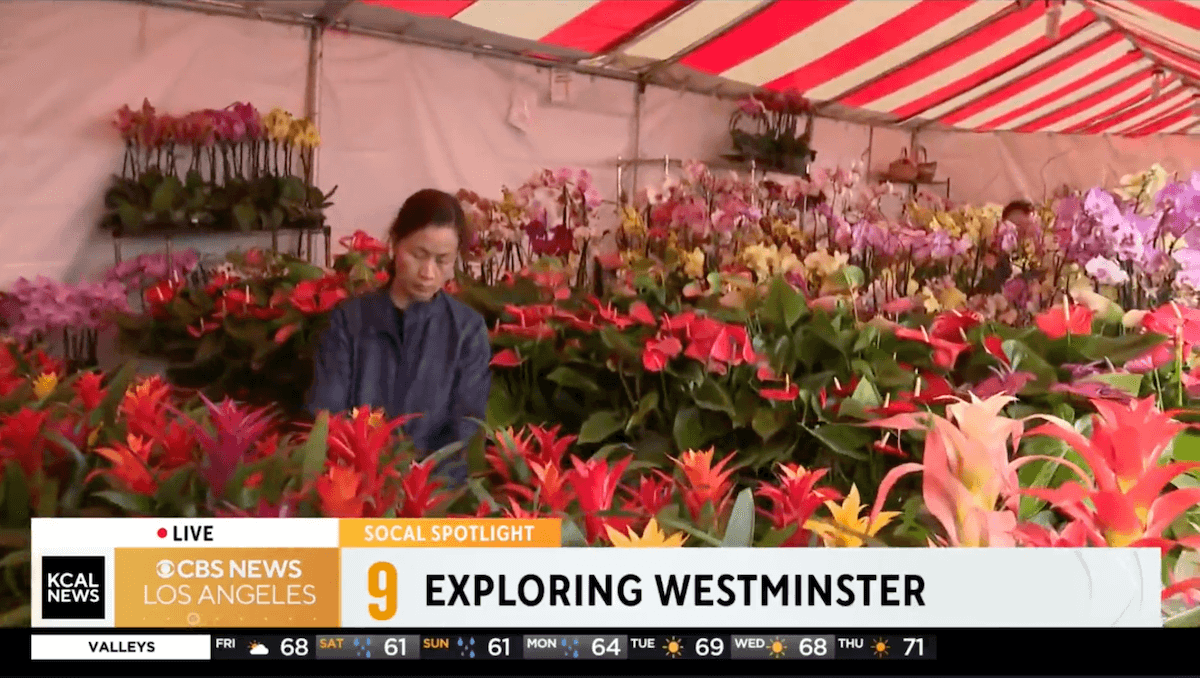 CBS News LA - Asian Garden Mall SoCal Spotlight for Flower Festival and Lunar New Year